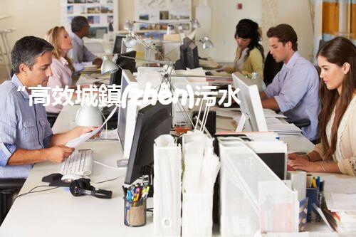 “高效城鎮(zhèn)污水處理流程，守護(hù)碧水藍(lán)天新篇章”